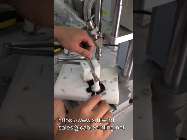Automatic Desktop Screw Feed Double Screwdriver Fastening Machine