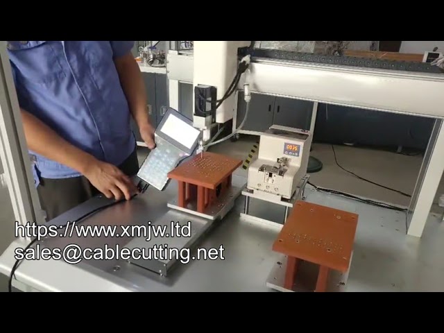 6331 Large Intelligent Servo Motor Tightening Screw Machine - Floor Type Automatic Locking System